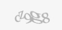 Código de segurança